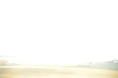 DSC_7202 (Large).JPG